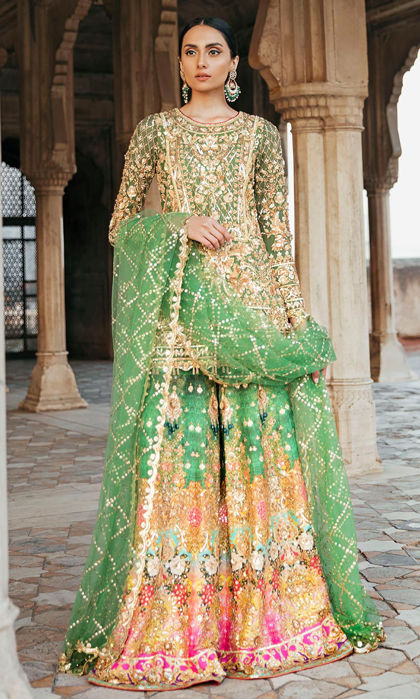 Picture of Olive Green