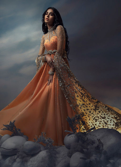 Picture of A Wish Upon the Stars