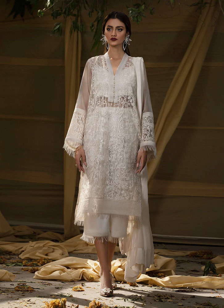 Picture of Moonlight