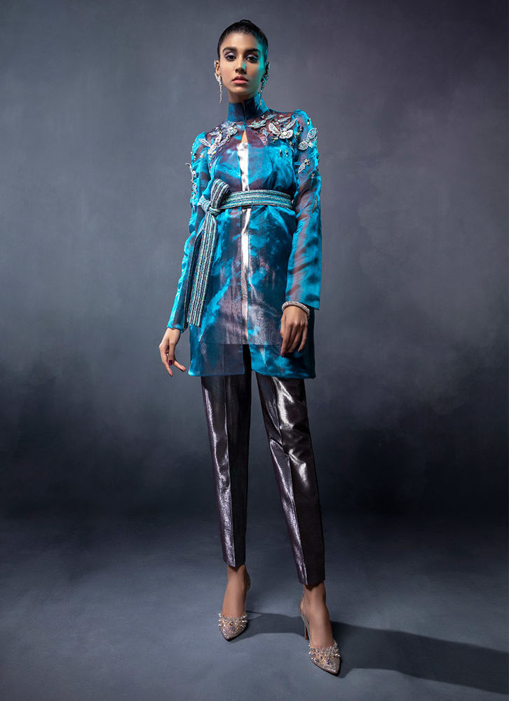 Picture of Damselfly