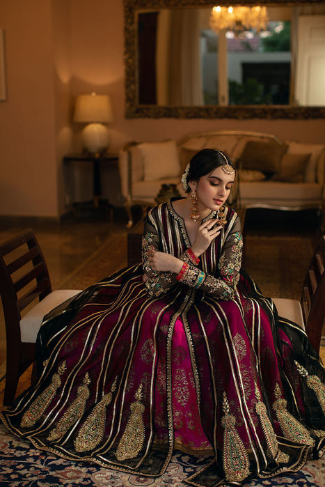 Picture of DOVE (KTD3494)