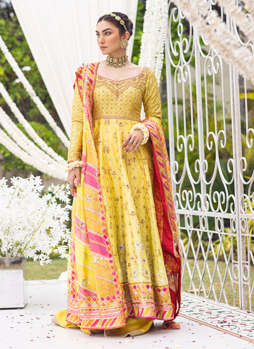 Picture of Mana Ombre Printed Kalidaar