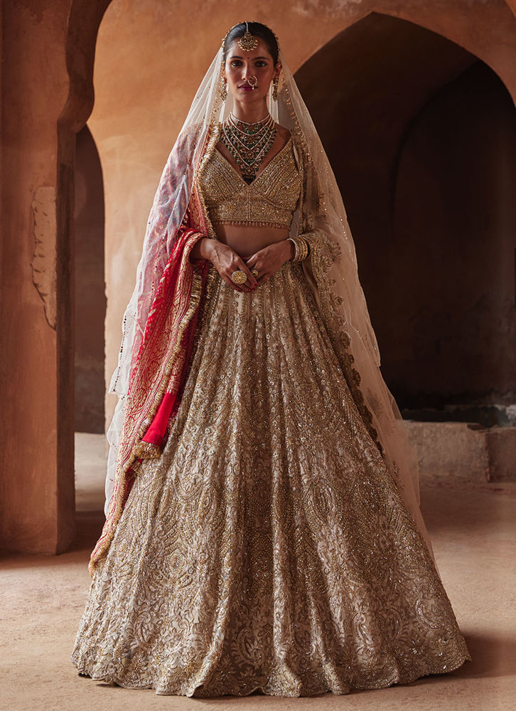 Picture of CHAMPAGNE GOLD NET EMBROIDERED LEHENGA CHOLI SET