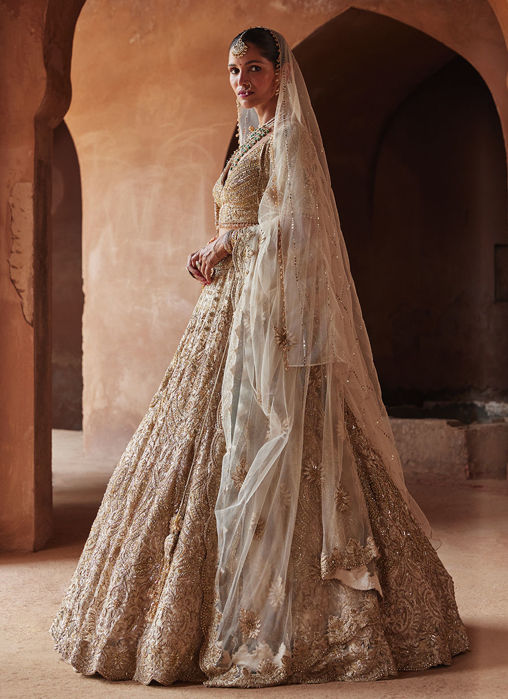 CHAMPAGNE GOLD NET EMBROIDERED LEHENGA CHOLI SET