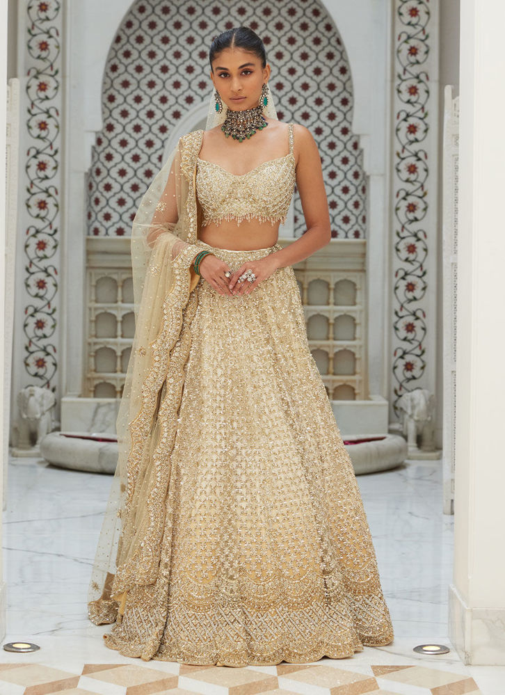 Picture of BEIGE OMBRE LEHENGA CHOLI WITH NET DUPATTA