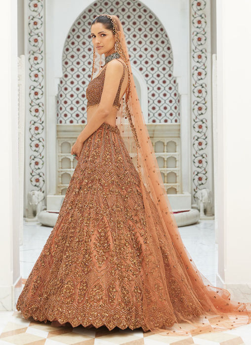 COPPER NET LEHENGA CHOLI SET WITH HEAD VEIL