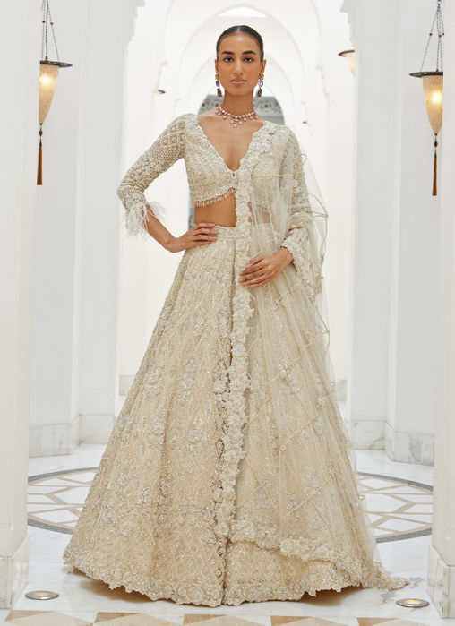 Picture of LIGHT BEIGE NET LEHENGA CHOLI SET