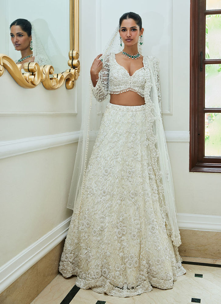 Picture of OFF WHITE NET LEHENGA CHOLI SET