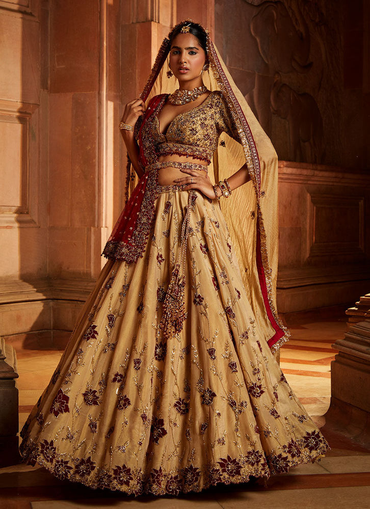 Picture of Gold Tissue Lehenga Choli