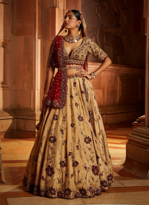 Gold Tissue Lehenga Choli