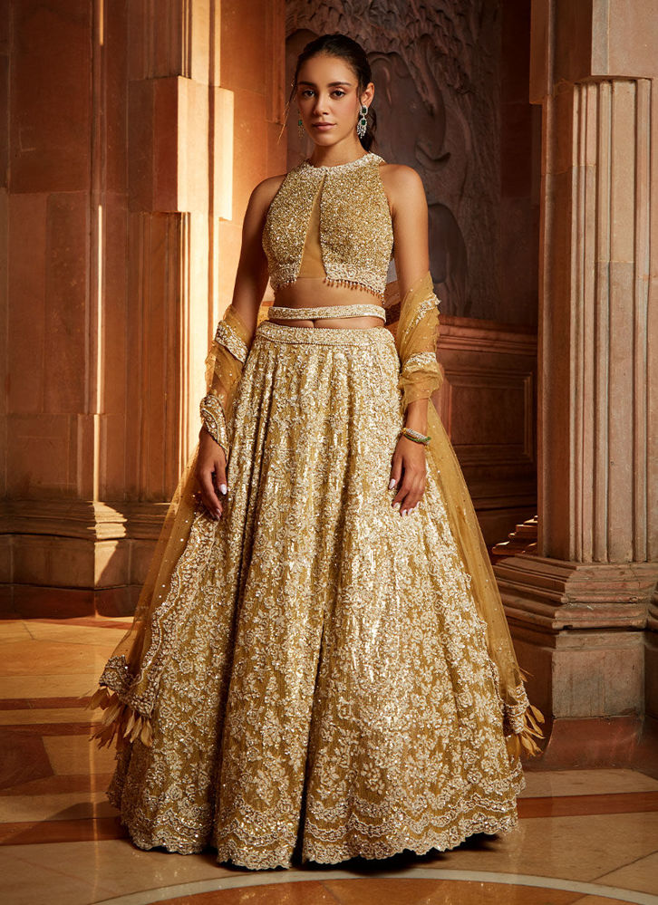 Picture of Gold Lehenga Choli