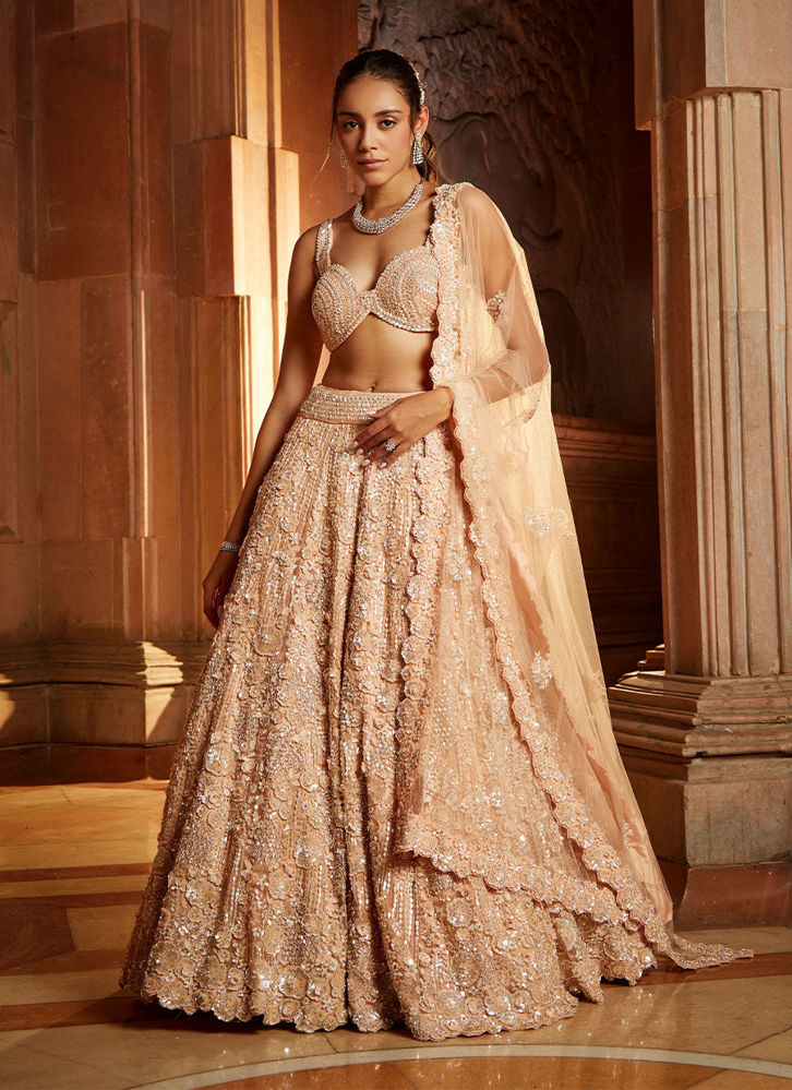 Picture of Peach Lehenga Choli