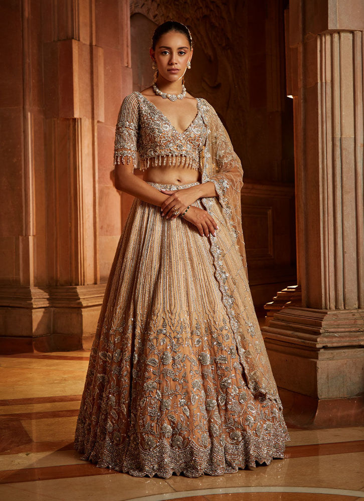 Picture of Mushroom Ombré Lehenga Choli