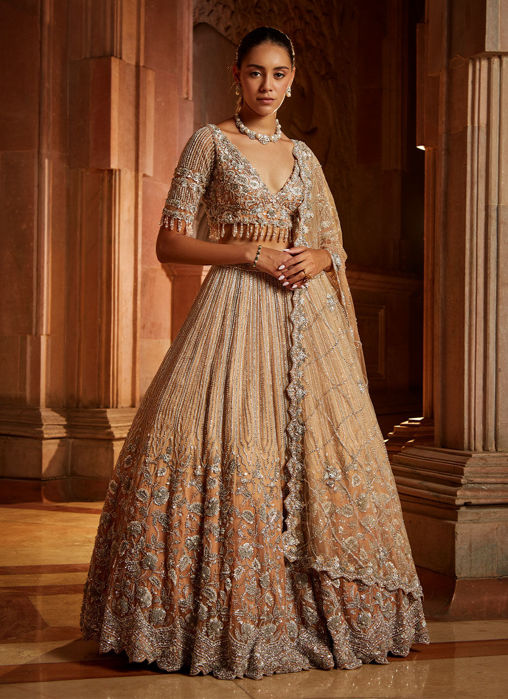 Mushroom Ombré Lehenga Choli