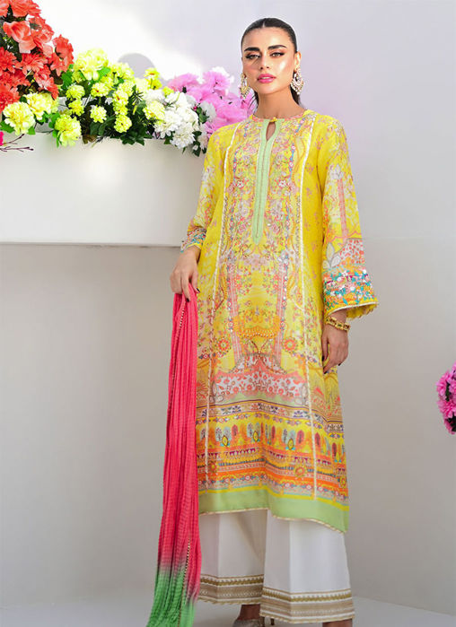 Picture of Asha