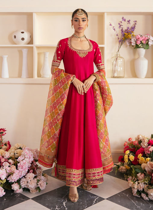 Picture of Sitya Kalidaar And Dupatta