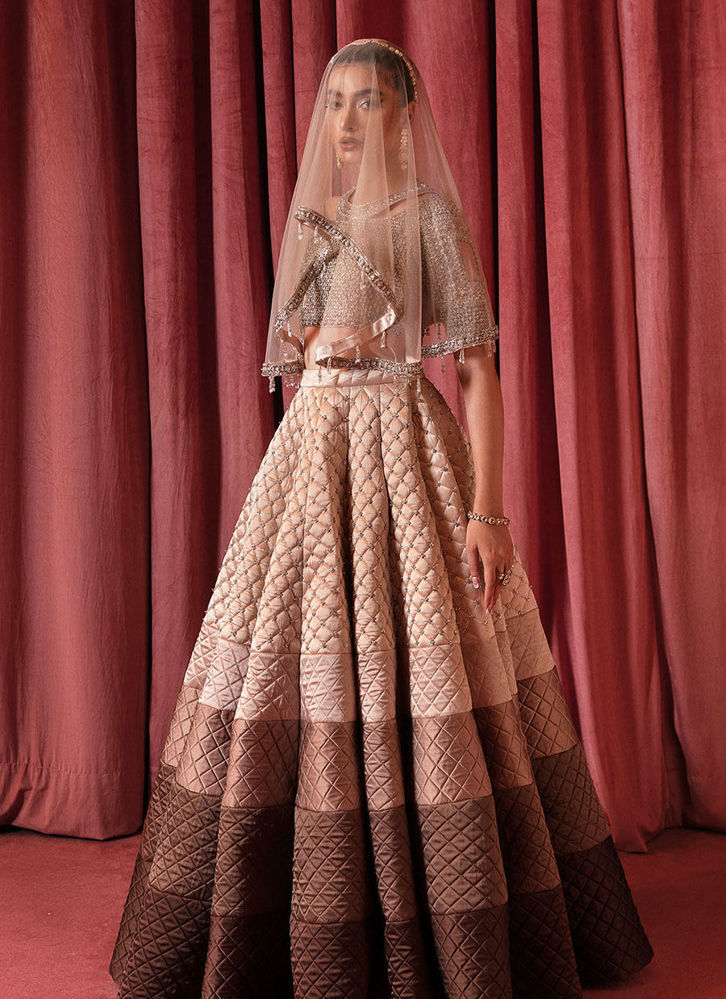 Picture of Carnation