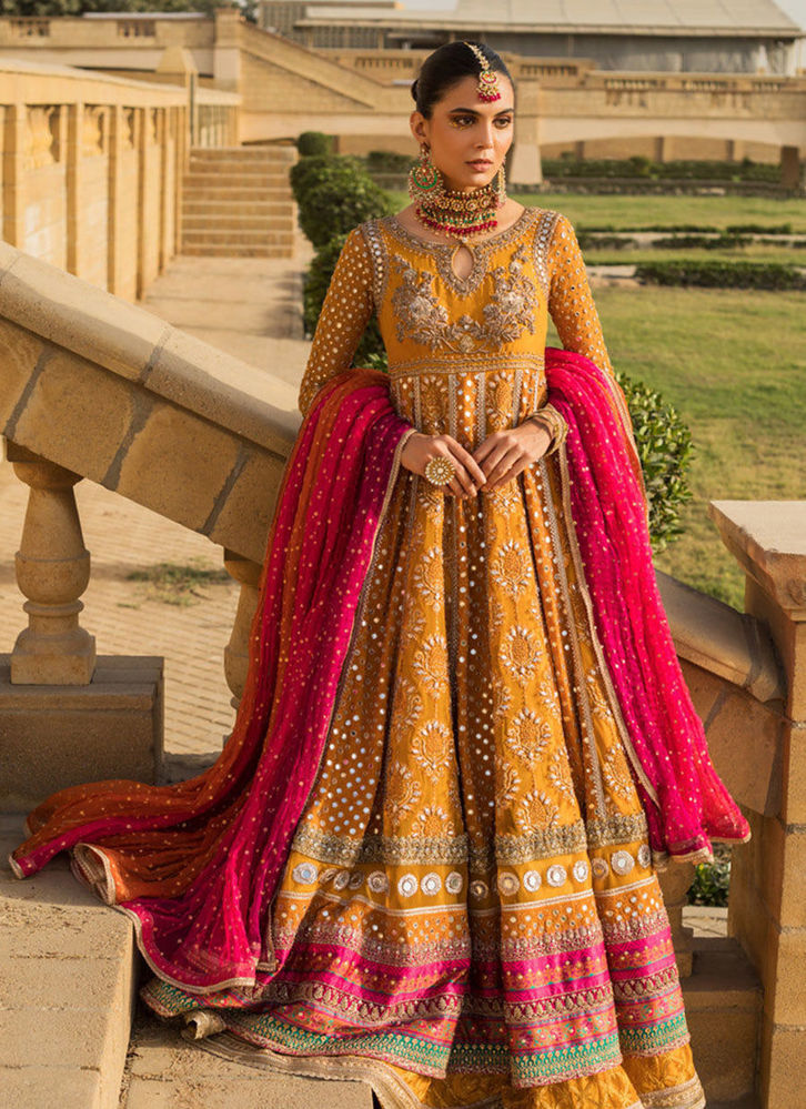 Picture of Sooraj mukhi