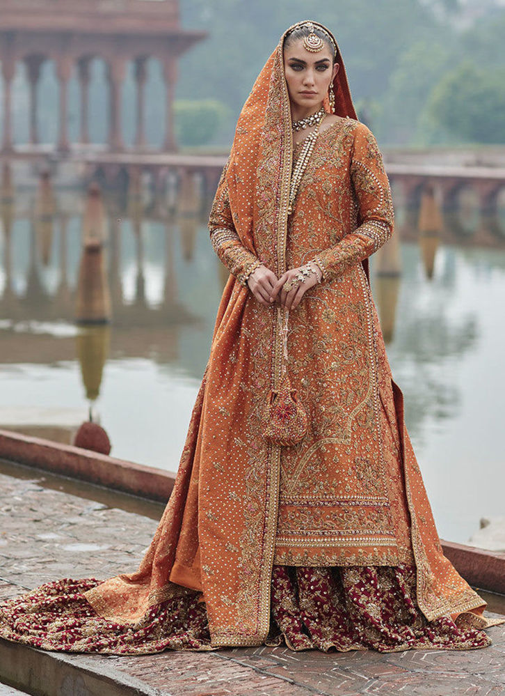 Picture of Shalimar Burnt Orange Bridal