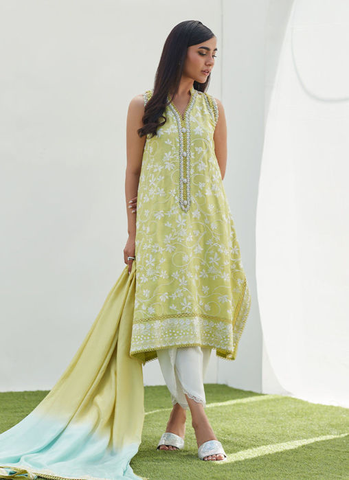 Pear Embroidered Silk Shirt and Dupatta