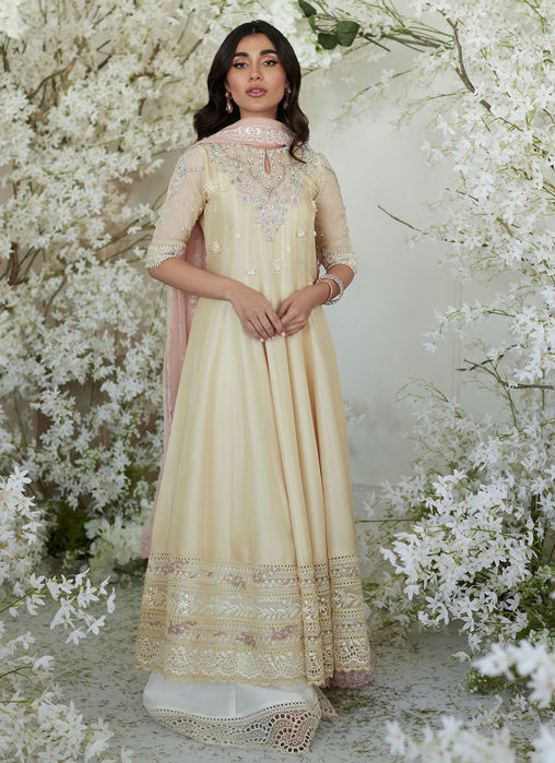 Picture of Pomello Lemon Kalidaar and Dupatta