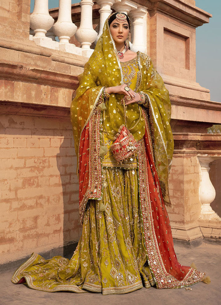 Picture of Zaitoon bibi