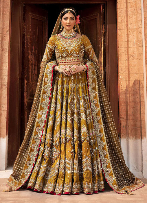 Picture of KesarMahal