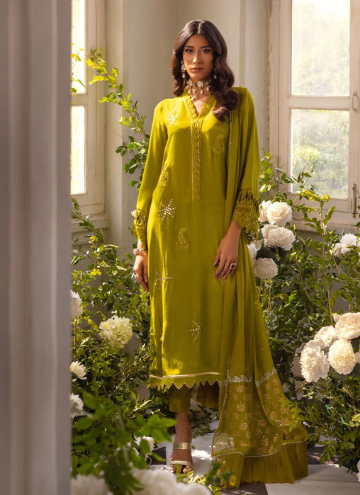 Picture of Afsaneh Fern