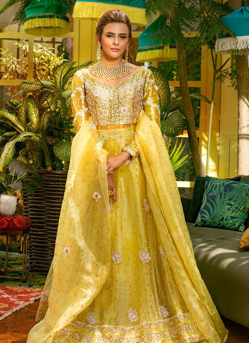 Picture of Sunflower Bloom