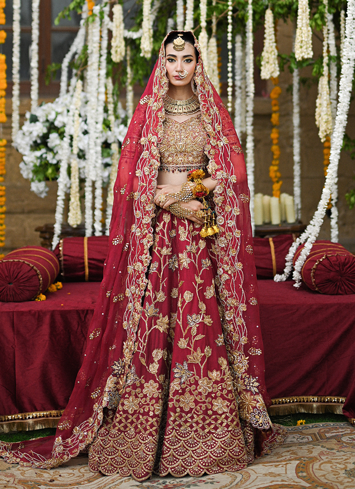 Picture of Qurat Ul Ain