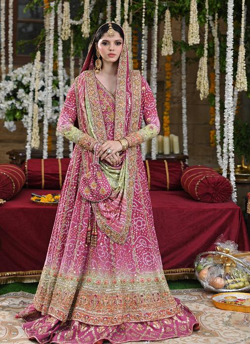 Picture of Haniya