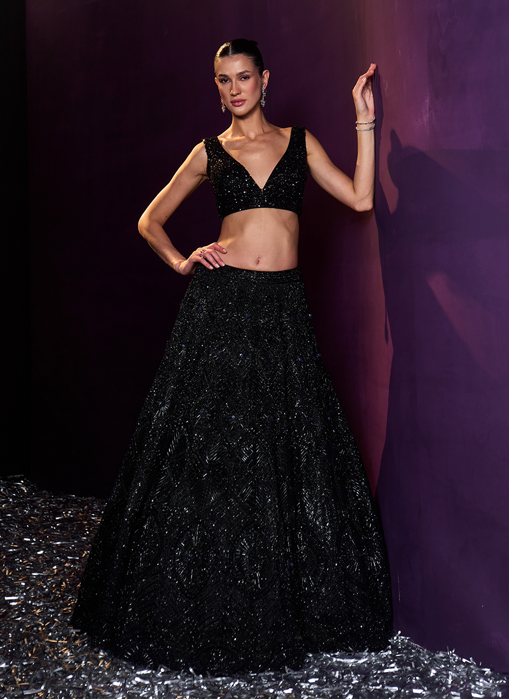 Picture of Black Net Lehenga Set