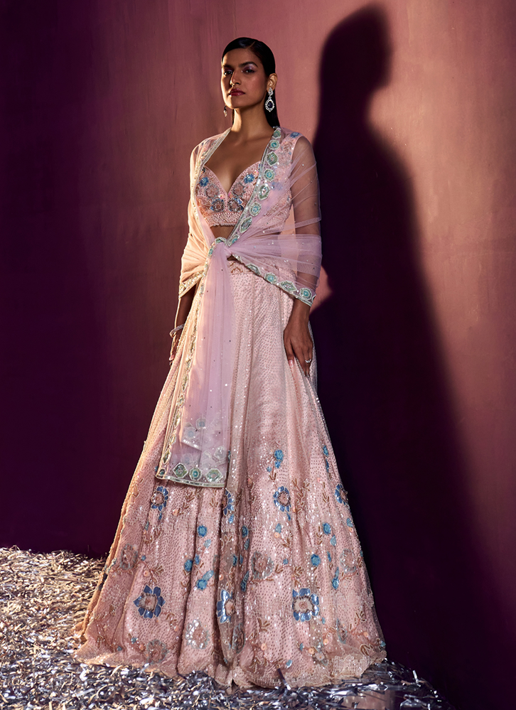 Picture of Peach Net Lehenga Set