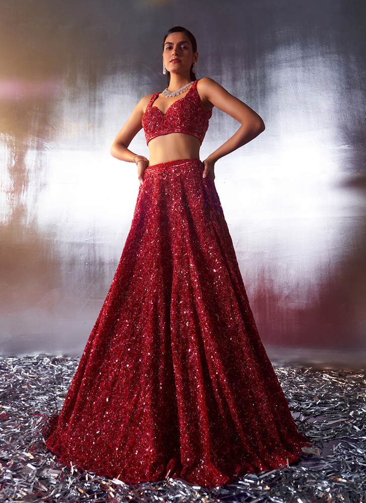 Picture of Red Net Lehenga Set