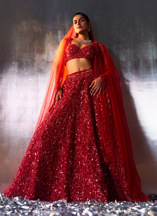 Red Net Lehenga Set