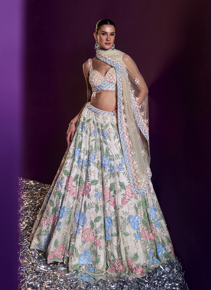 Picture of Ivory Net Lehenga Set