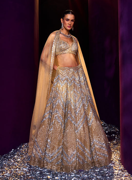 Picture of Gold Net Lehenga Set