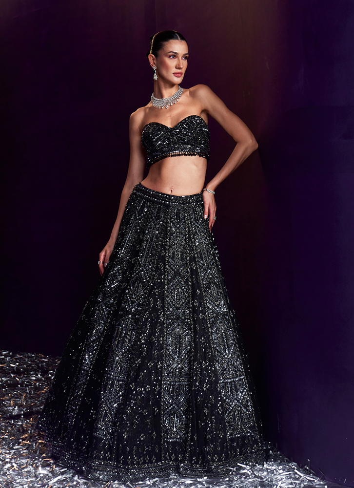 Picture of Black Net Lehenga Set