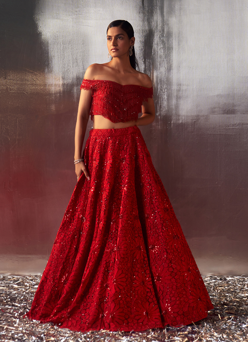 Picture of Red Net Lehenga Set
