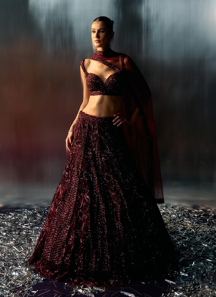 Picture of Deep Wine Net Lehenga Set