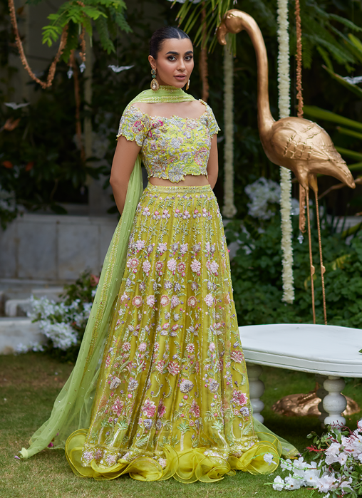 Picture of Nora Kiwi Lehenga Choli