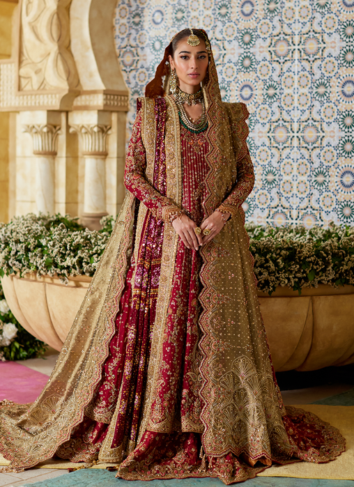 Picture of Zemira Crimson Farshi Lehenga