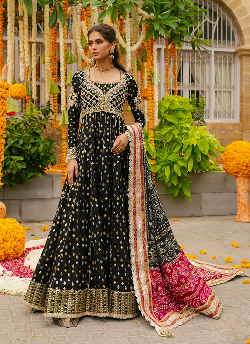 Picture of Mehmil Kalidar