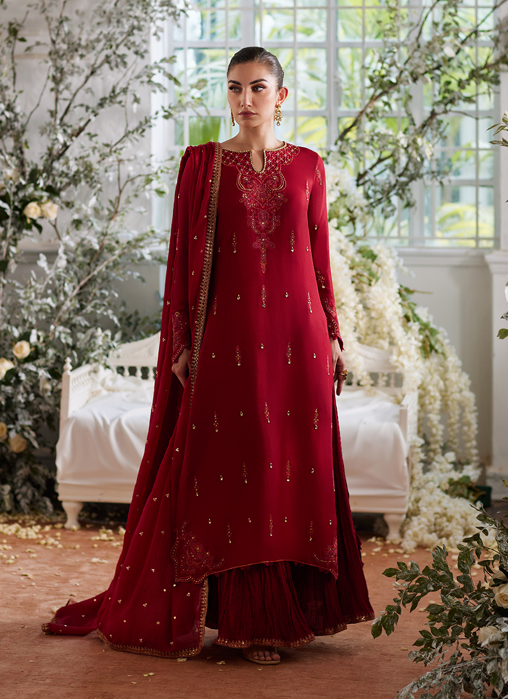 Picture of Ediz Scarlet Shirt and Dupatta