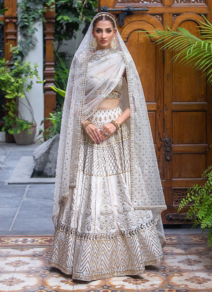 Picture of White Dove