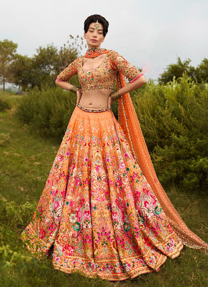 Picture of Coral Reef