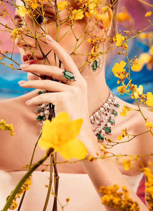 Picture of HA-FDJ-24-05