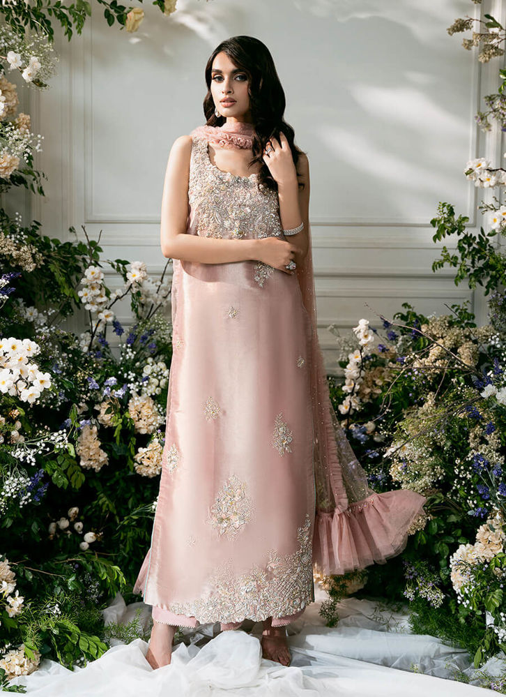 Picture of Pink Rose