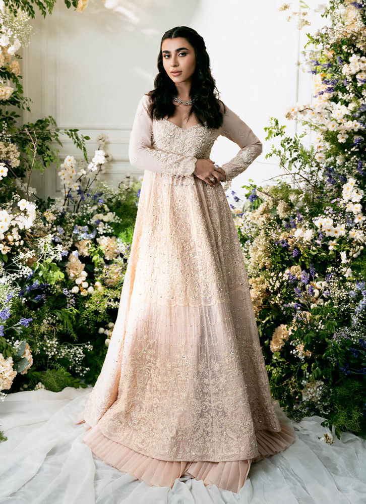 Picture of Pink Rania