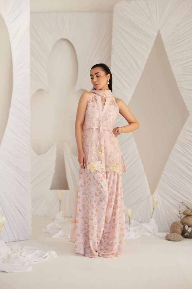 Picture of Kyma Blush Organza Jacket and Dupatta